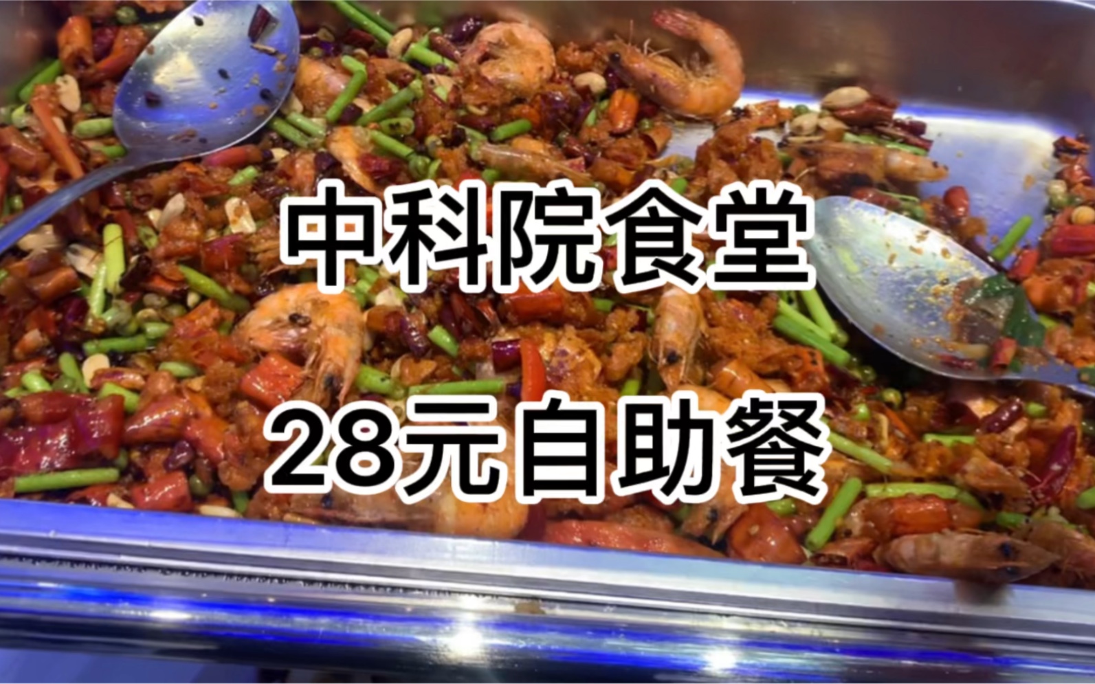 【午饭5】中科院读研|食堂28元自助餐|今天中午吃什么!|中科院食堂哔哩哔哩bilibili