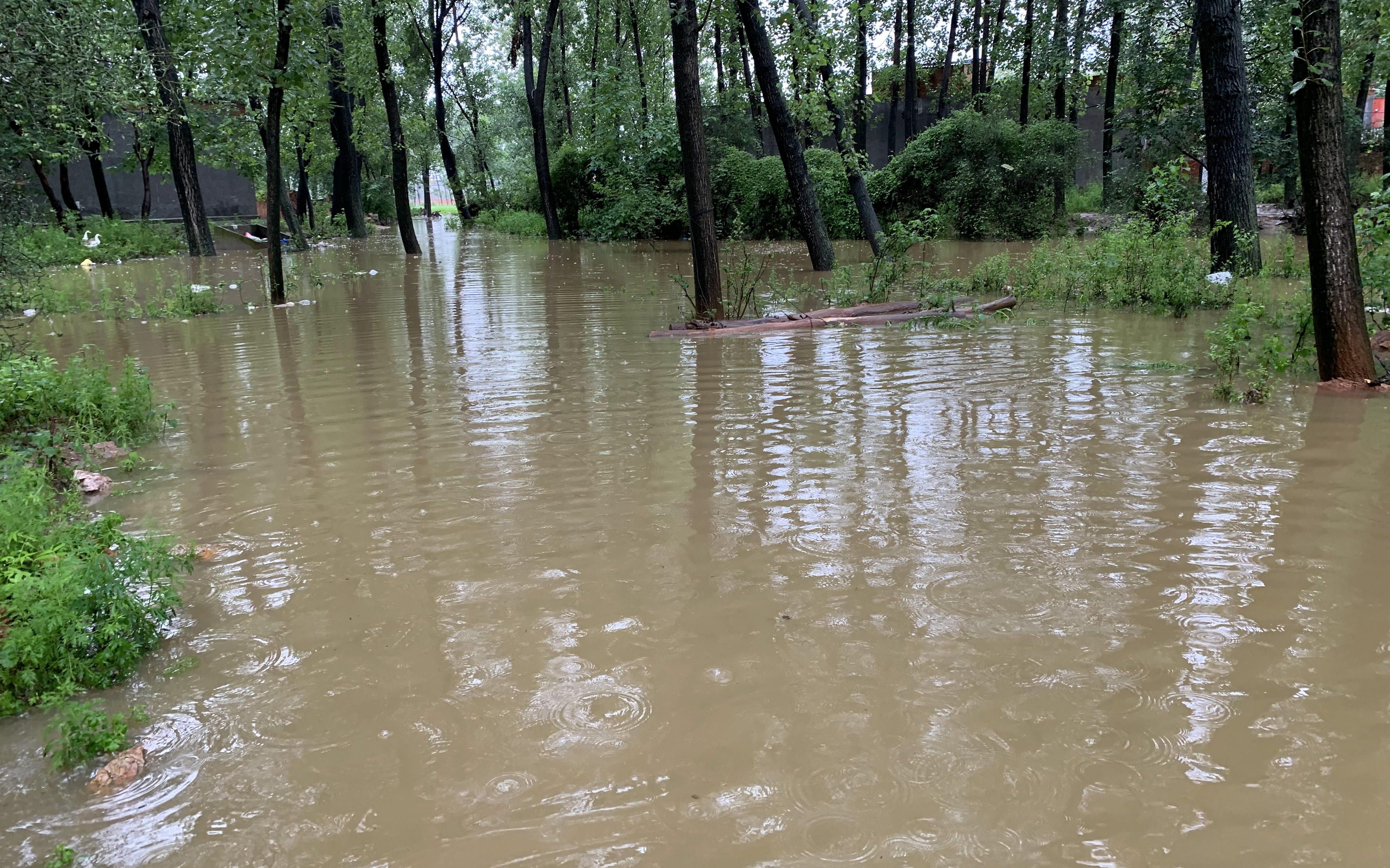 河南驻马店昨晚突降大暴雨,村里一片汪洋,道路深不见底,心酸