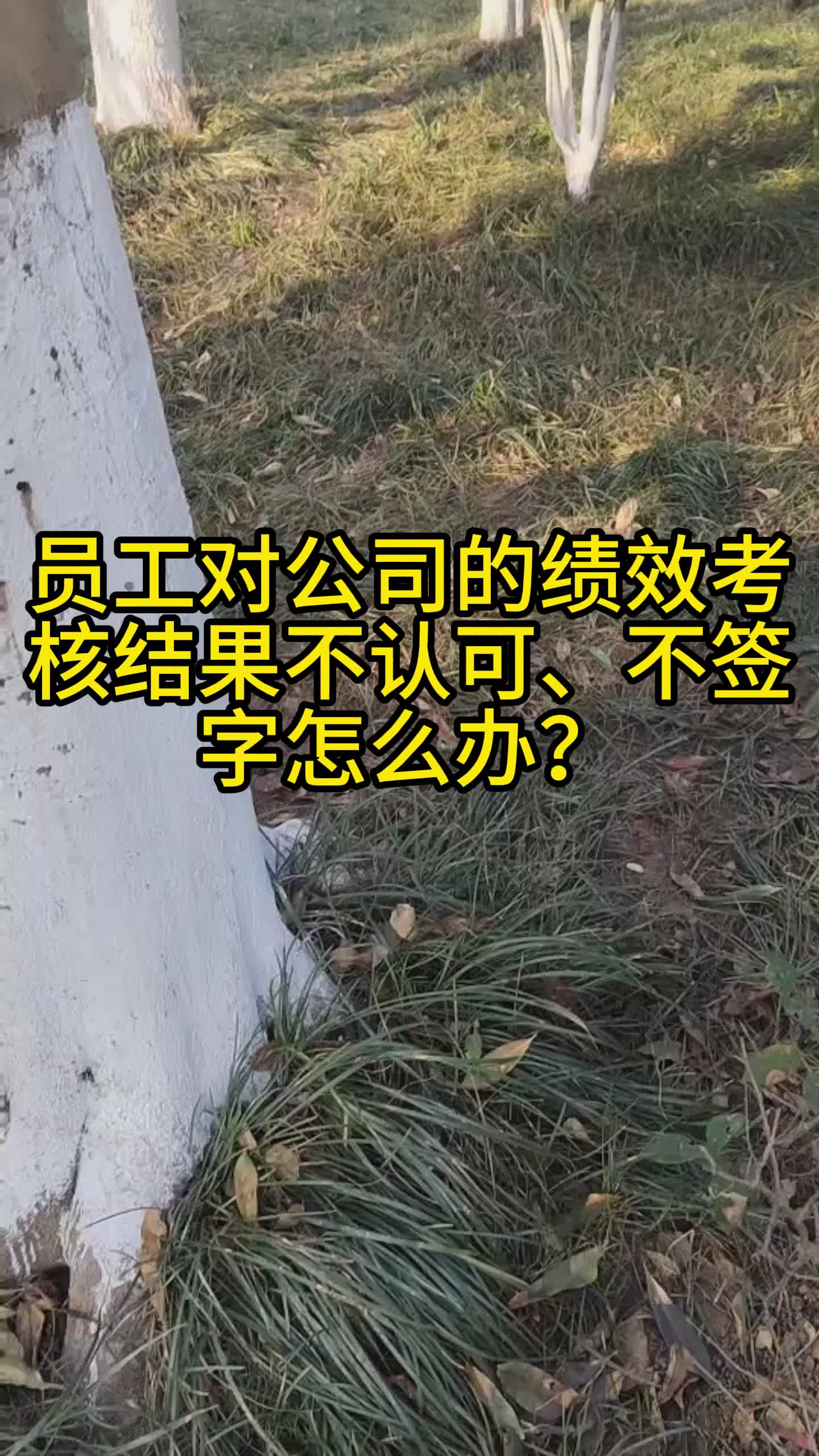 员工对公司的绩效考核结果不认可怎么办?哔哩哔哩bilibili