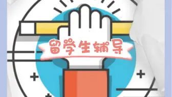 finance作业，650字，马上安排