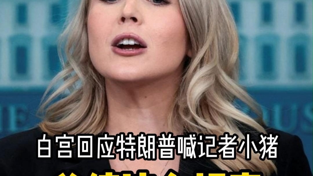 特朗普喊女记者小猪 几个意思？白宫新闻秘书诡辩：总统这是坦率，你们应当感激才对