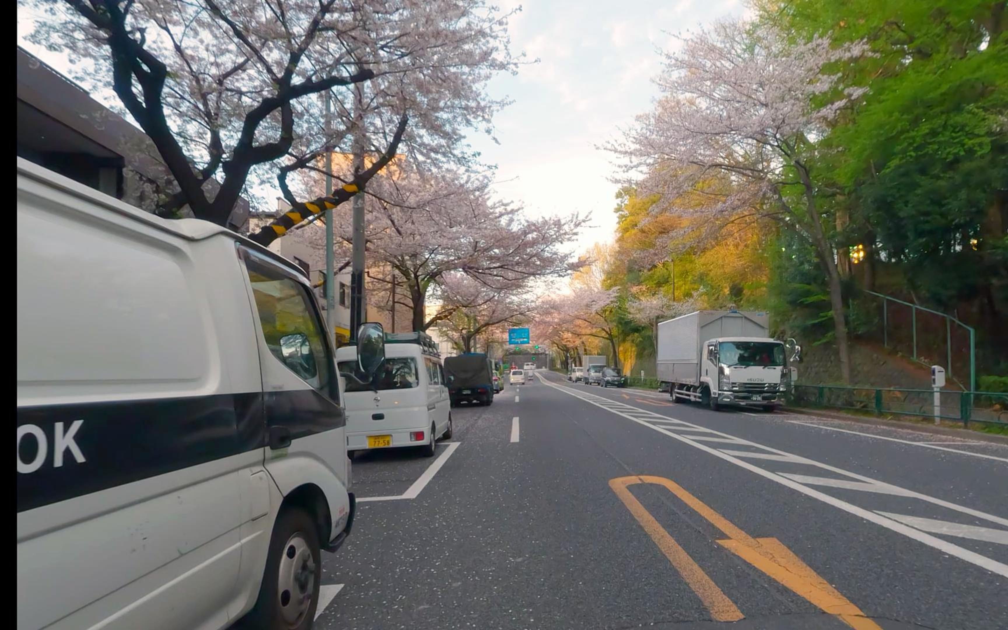 东京樱花公路骑行