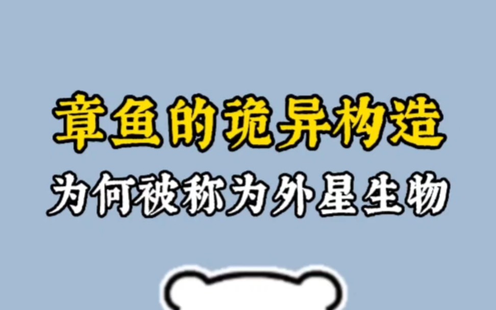 为什么泰国人妖妖艳多姿,而印度人妖却像抠脚大汉?哔哩哔哩bilibili