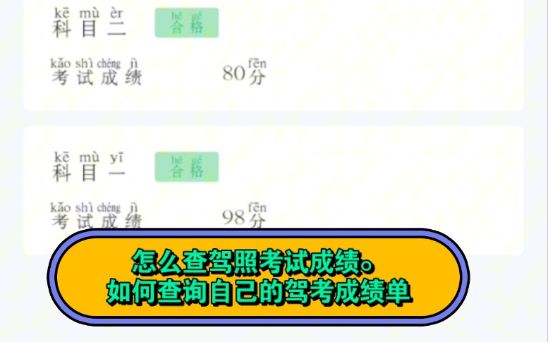 怎么查驾照考试成绩,如何查询自己的驾考成绩单.哔哩哔哩bilibili