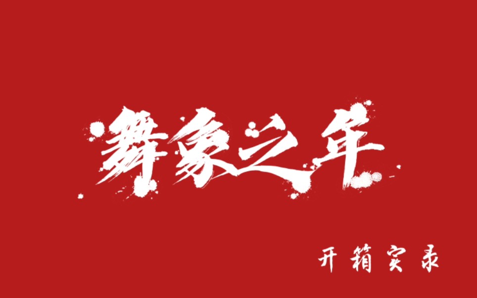 【时代少年团】不正经的《舞象之年》团普开箱