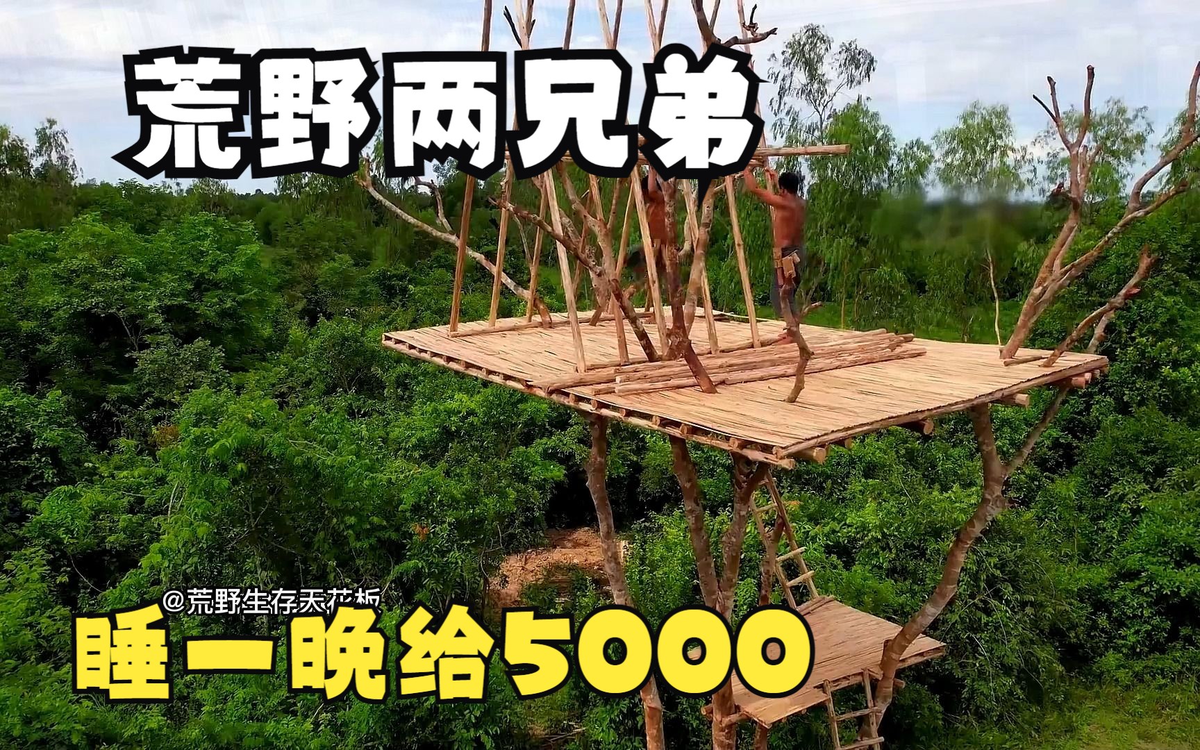 [图]荒野生存兄弟徒手搭建树屋，野外求生原始技术，敢住一晚给5000元