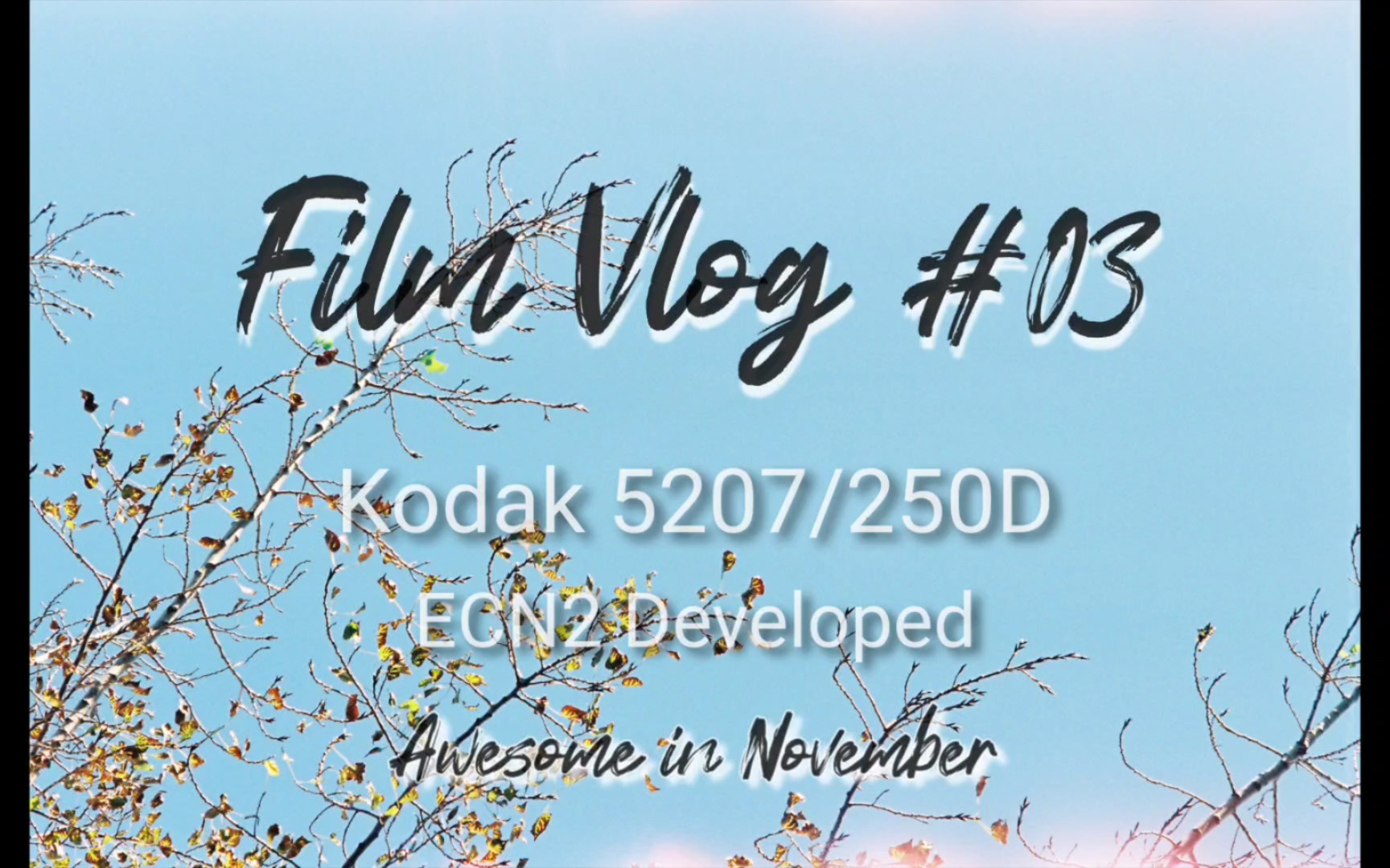 Film Vlog #03 || 胶片摄影 柯达电影卷5207/250D || 用电影胶卷的色彩描绘秋天哔哩哔哩bilibili