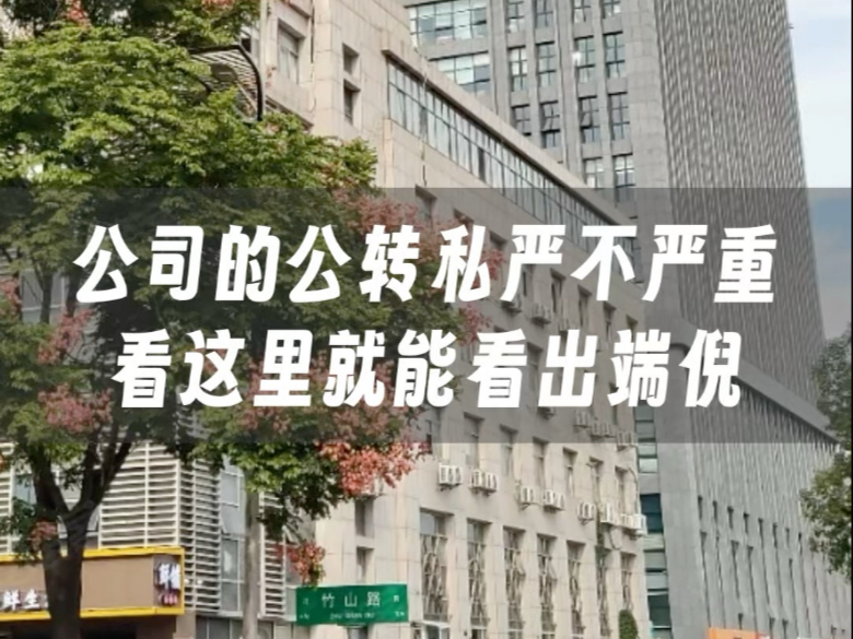 公司的公转私严不严重看这里就可以看出端倪不会看就赶紧进来学习一下#财税知识#财务报表分析 #老板 #企业服务 #公转私哔哩哔哩bilibili