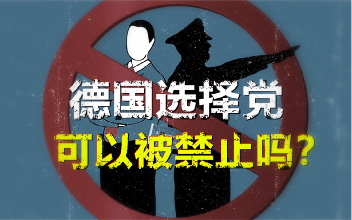 德国选择党,可以被禁止吗?哔哩哔哩bilibili