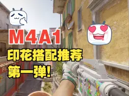 Download Video: 【CS2】10款M4A1印花搭配推荐！第一弹！