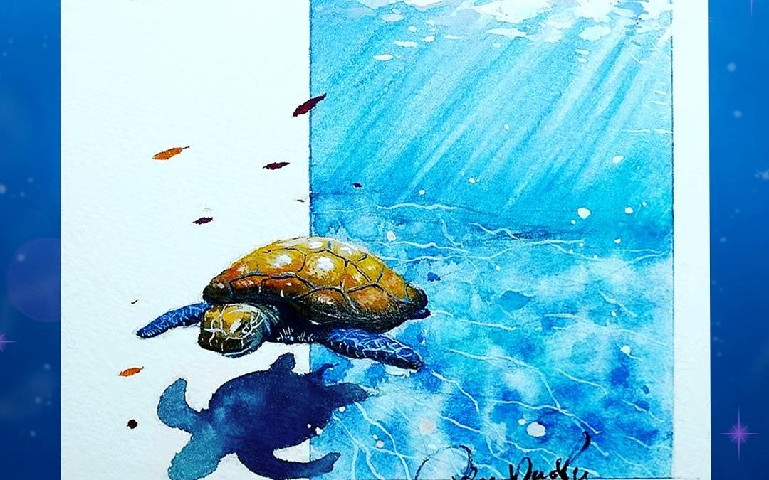 水彩插画|海洋主题|海龟(附教程)