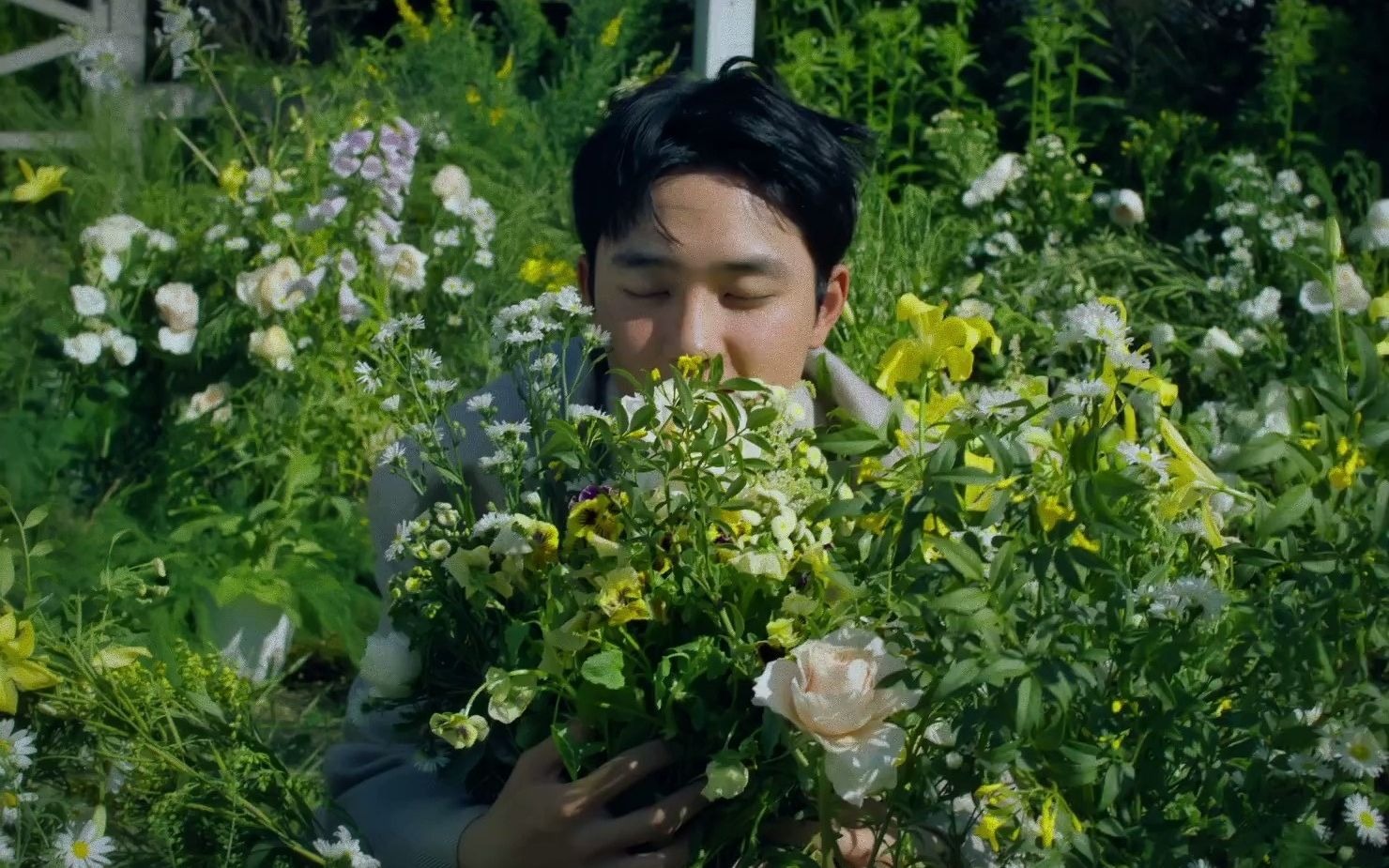 【中字】D.O.最新solo曲《ROSE》MV + 现场版(持更)哔哩哔哩bilibili