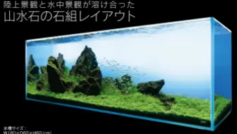 Adaview Aj229 系列 180cm水景造景山水石石组 哔哩哔哩 Bilibili