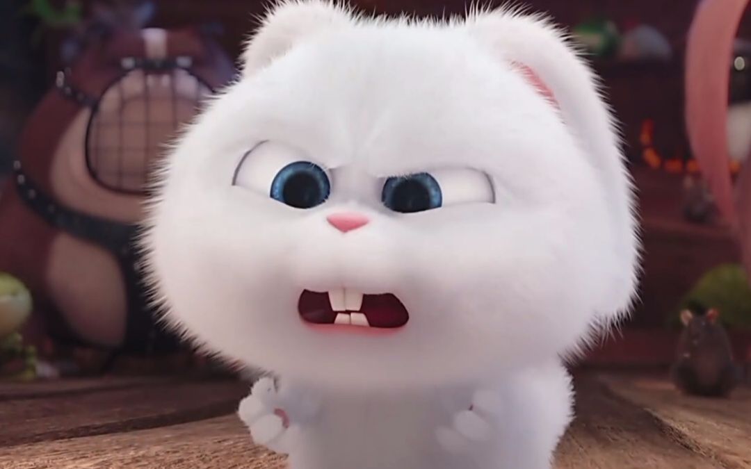 爱宠大机密:超厉害的小白英雄救美