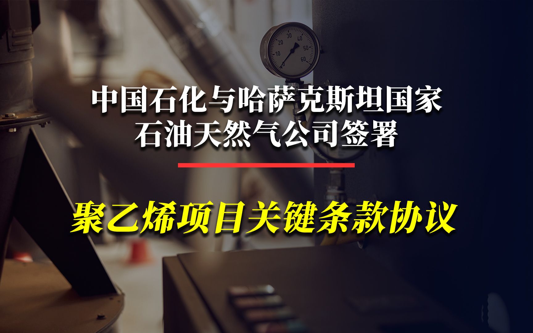 中国石化与哈萨克斯坦国家石油天然气公司签署聚乙烯项目关键条款协议哔哩哔哩bilibili