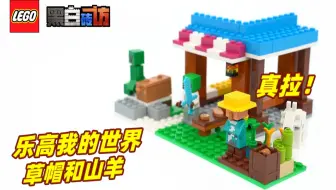 【黑白】乐高我的世界21184面包房，真拉！