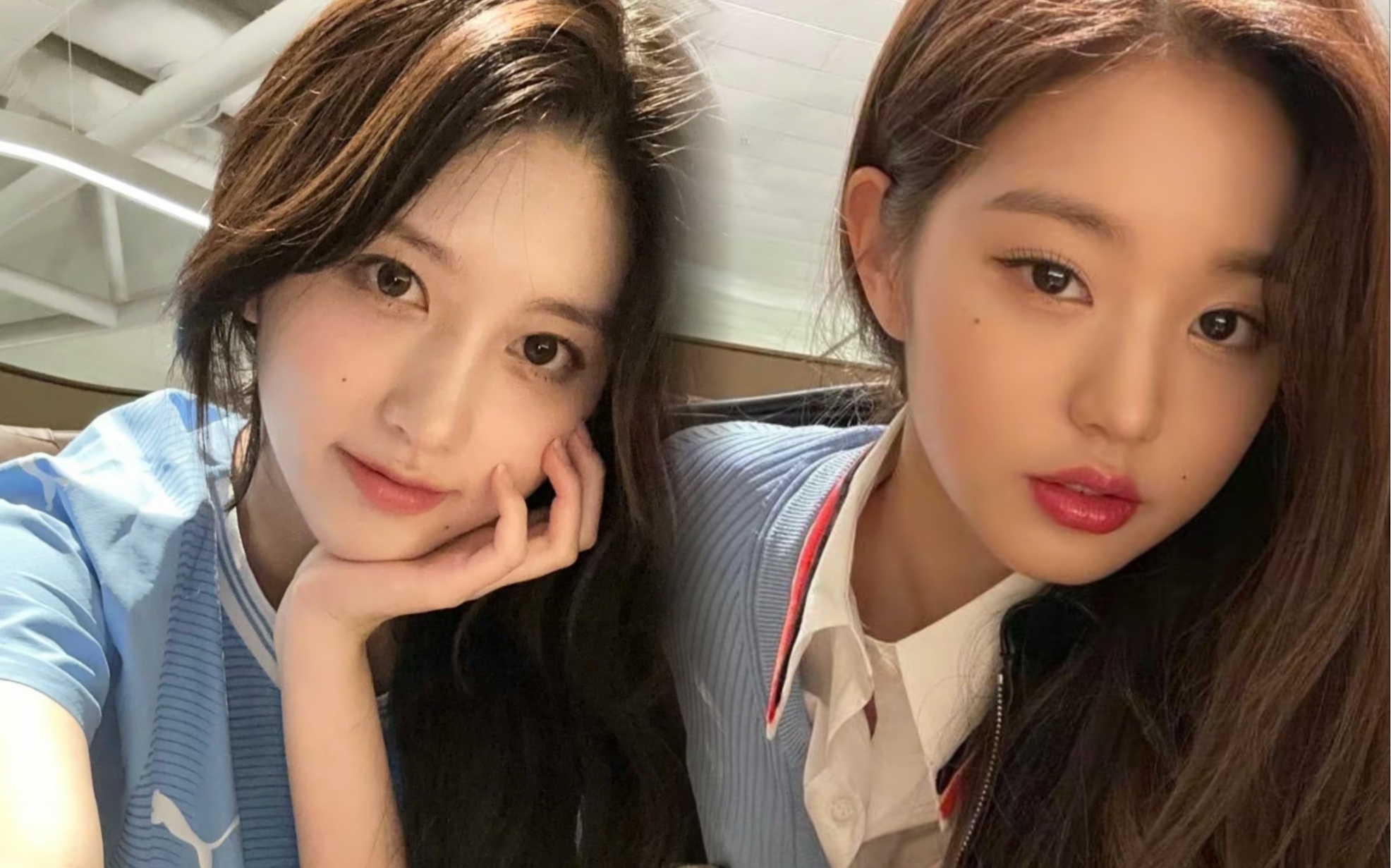 【金秋天|张元英】看了这两张图突然懂了淡香和浓香的区别99