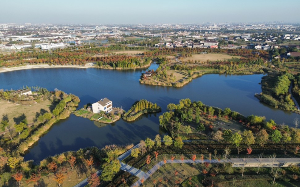 常州鹅颈湾湿地公园|风景航拍|秋日限定|大疆mini3