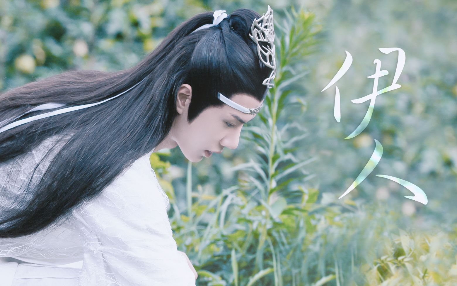 【王一博】你x博叽/愿我如星君如月夜夜流光相皎洁