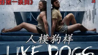 这个女人被关在狗圈里，每天吃的食物只有狗粮