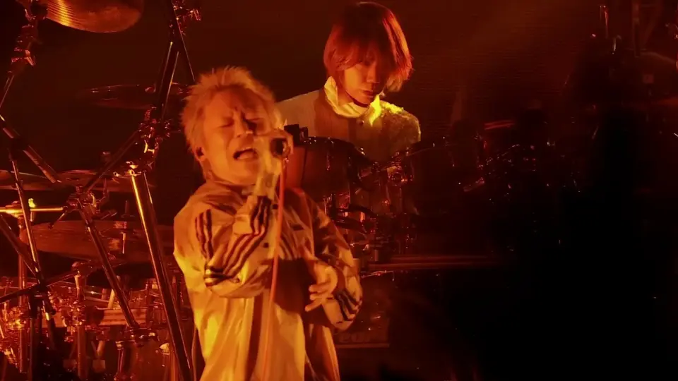 完美现场演绎VINUSHKA DIR EN GREY THE FINAL DAYS OF STUDIO 