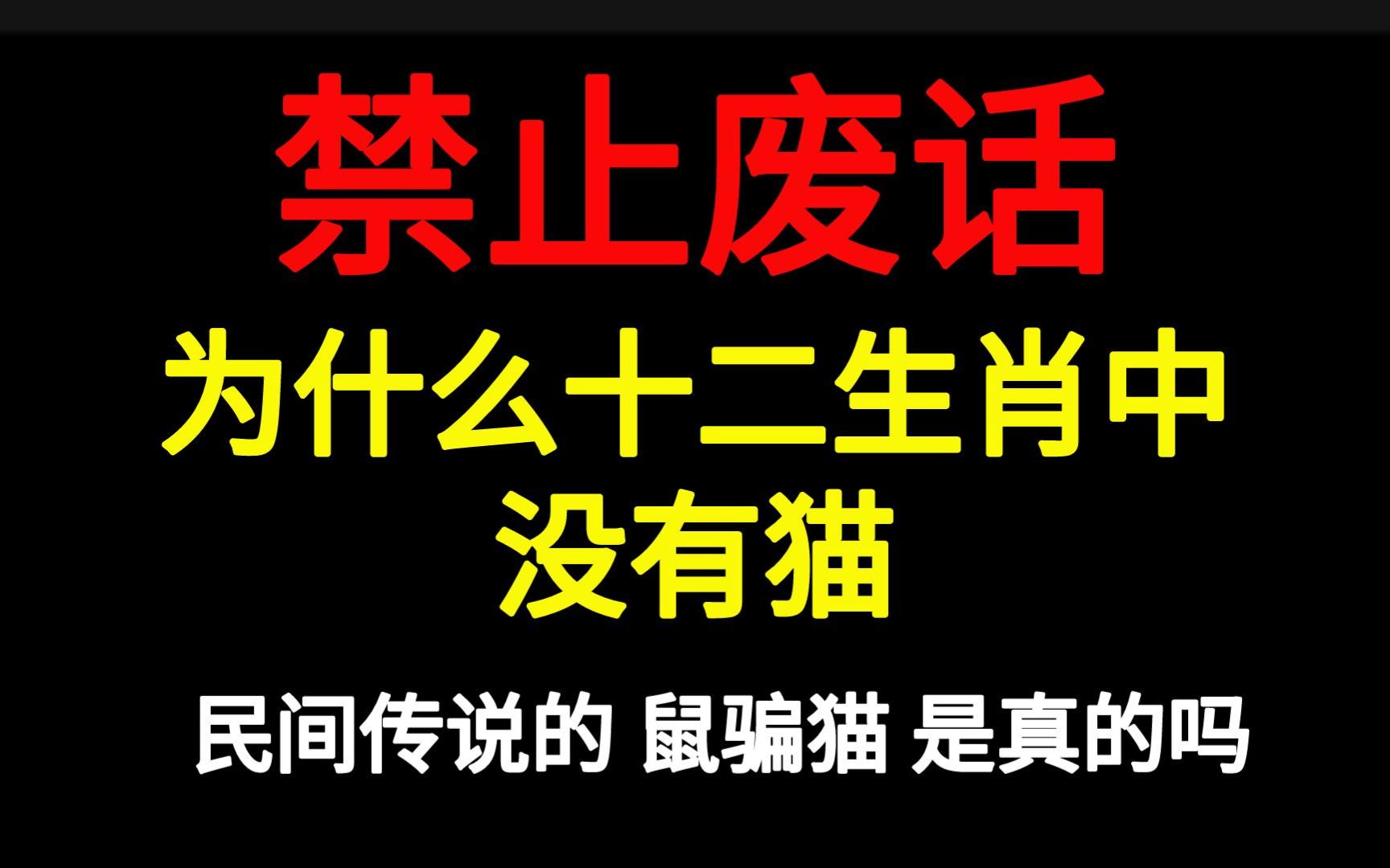 禁止废话:为什么十二生肖中没有猫,民间传说的鼠骗猫是真的吗?哔哩哔哩bilibili