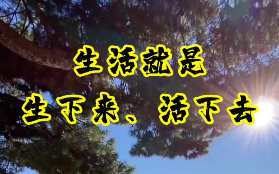 生活就是生下来,活下去