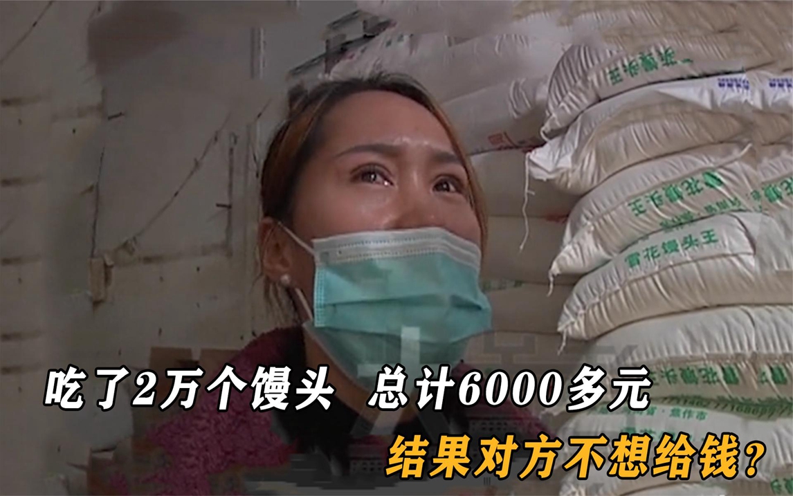 顾客吃了2万多个馒头,需要支付6000多元,结果对方不想给钱?哔哩哔哩bilibili