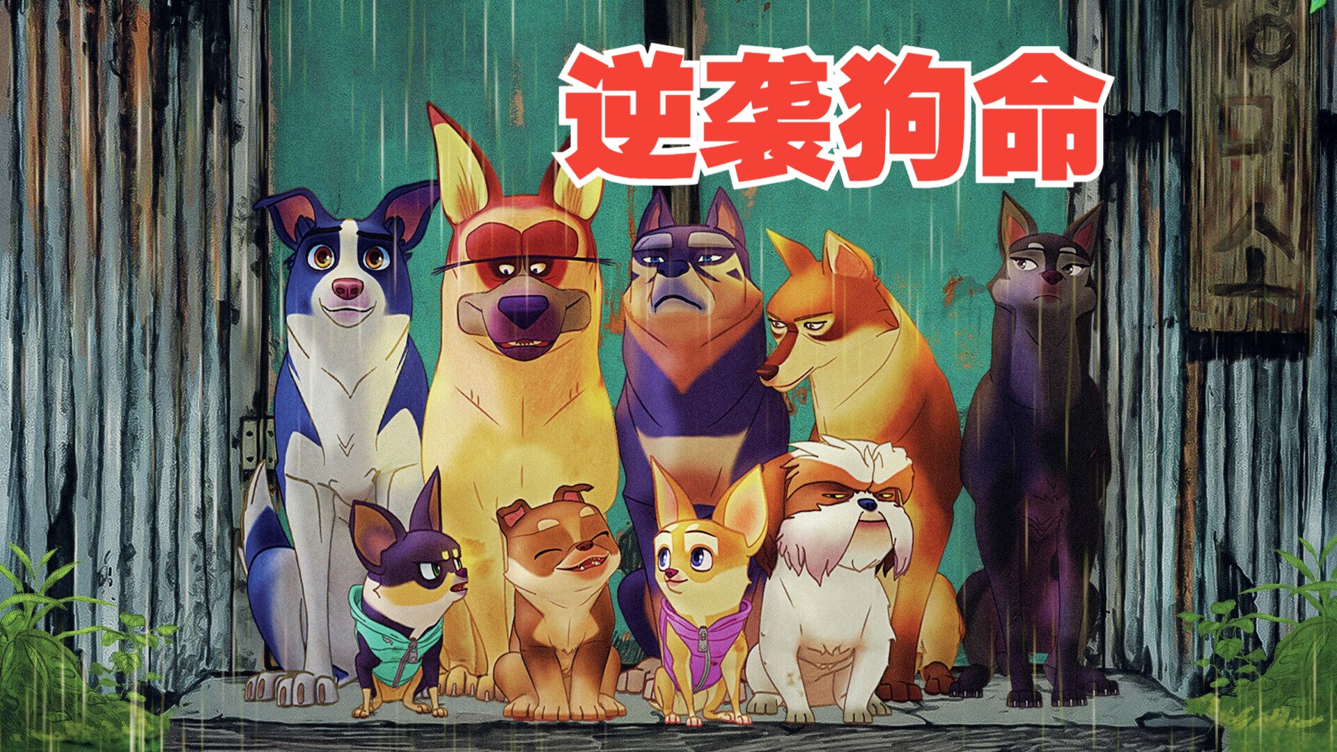 2018年上映,寻找自由和归属感的感人韩国动画片.