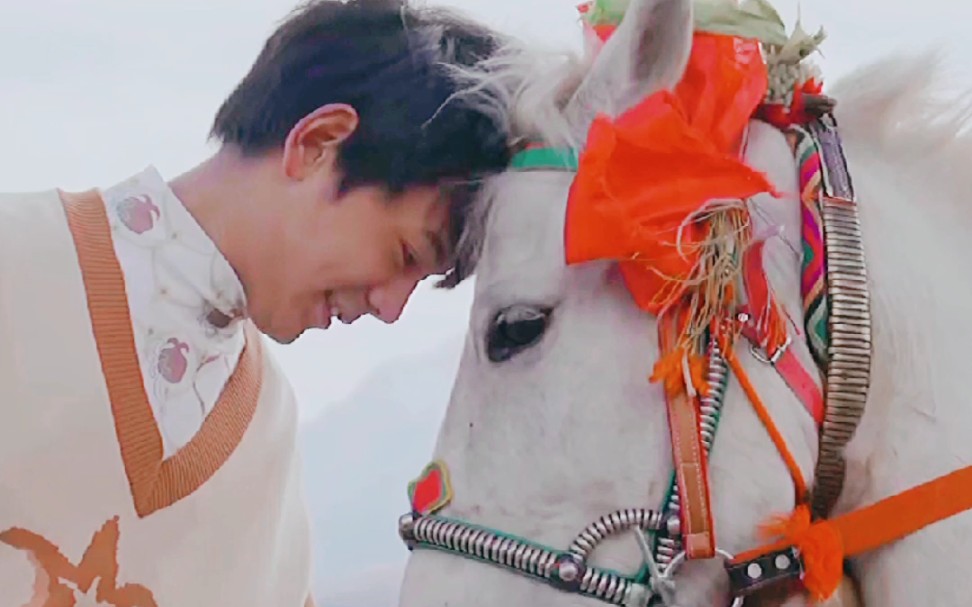 心动一幕:丁真和小马