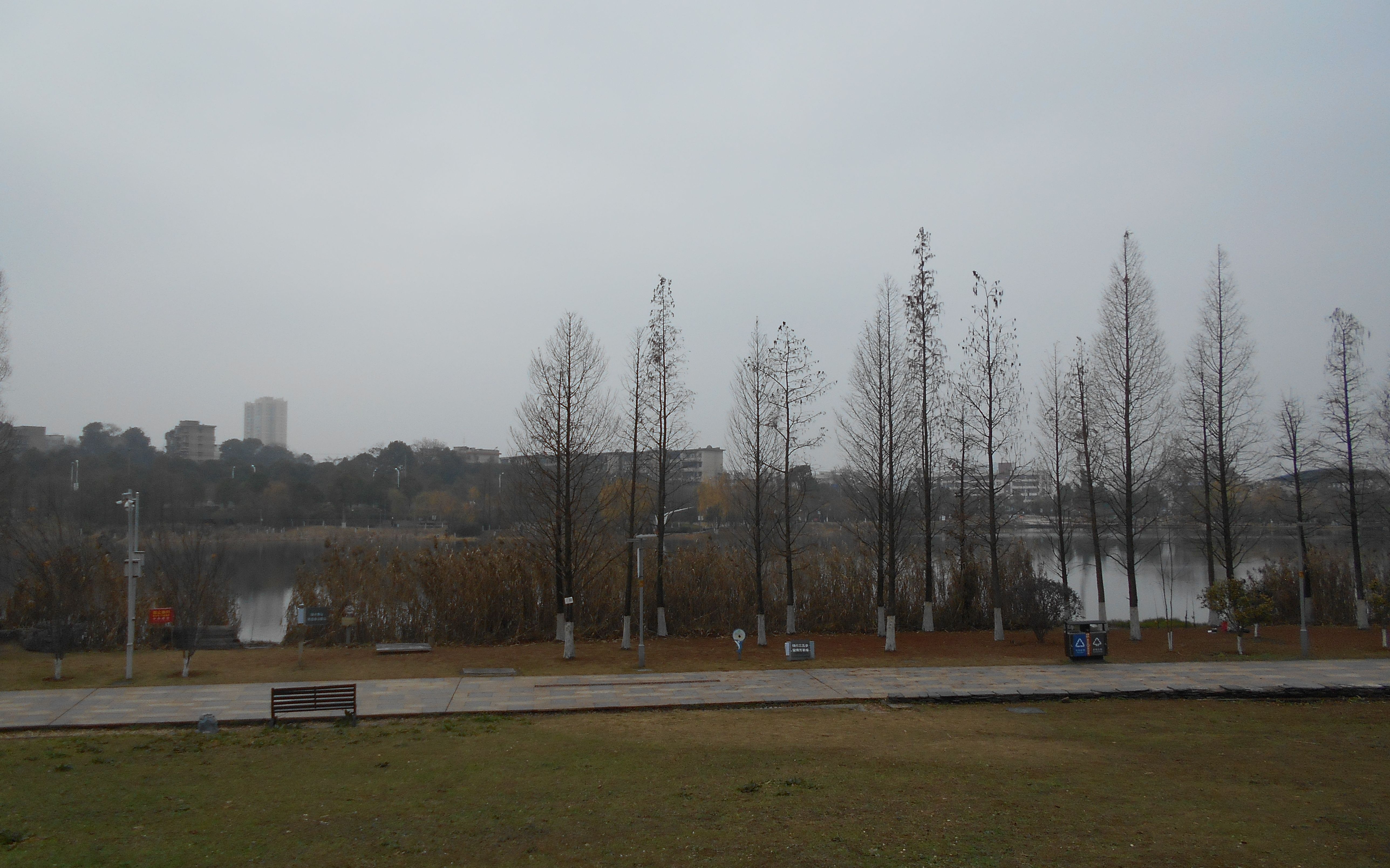 湘潭市木鱼湖公园的木头椅子腐朽了