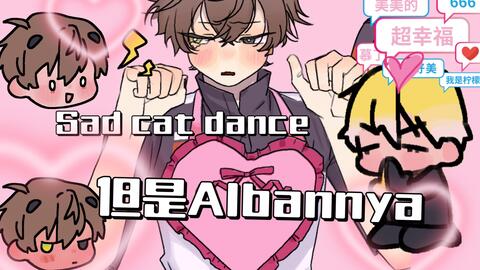 Sad Cat Dance Meme_哔哩哔哩_bilibili