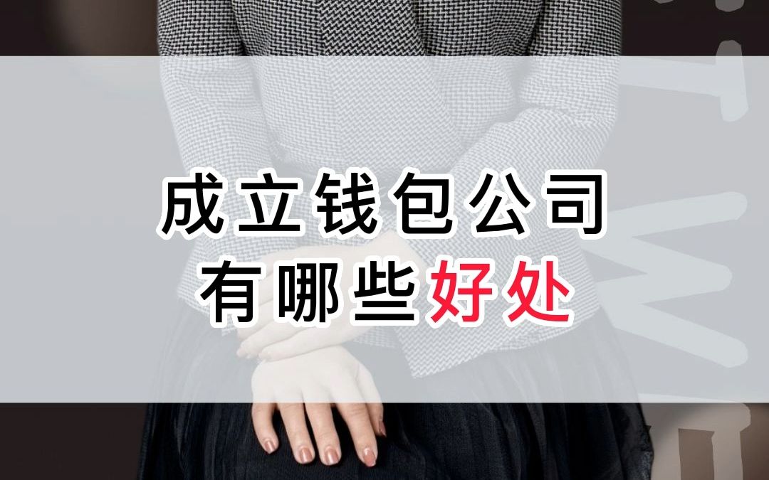 成立钱包公司有哪些好处哔哩哔哩bilibili