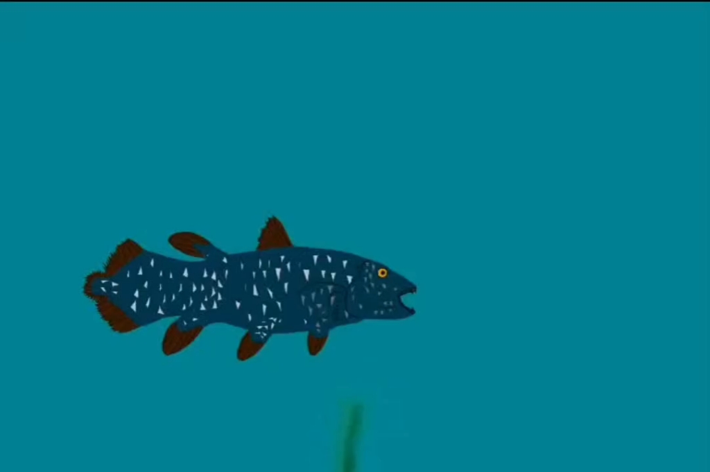 沧龙大战海王龙