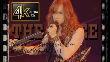 THE ALFEE 45th Anniversary Special Concert THE ALFEE 45周年特别 THE ALFEE 45th Anniversary Special Concert THE ALFEE 45周年特别