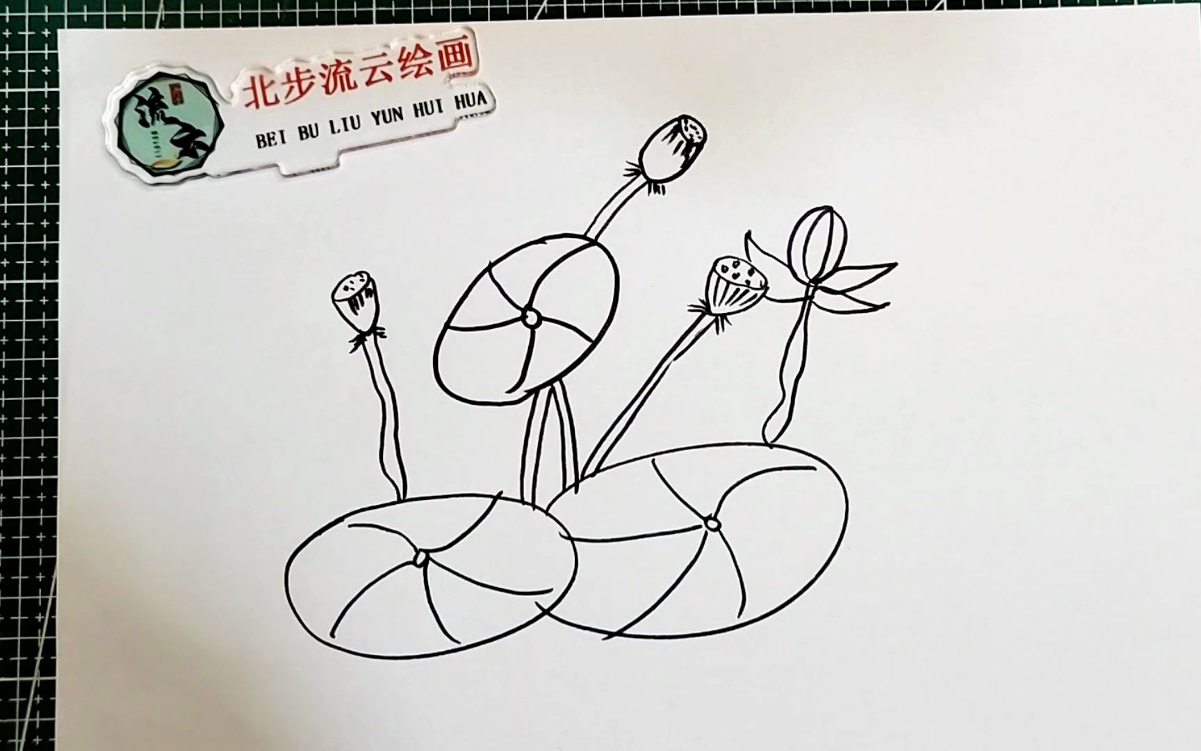 荷花莲蓬简笔画,适合孩子画的儿童画