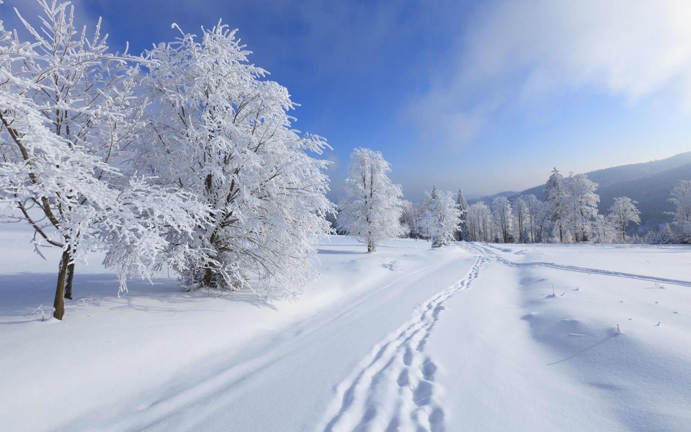 下雪图片大全大图图片