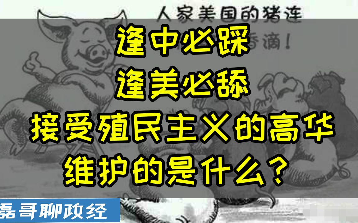 中国崛起踩碎了高华的优越感?接受了殖民主义的高华在维护什么?自干五在抵抗的是什么?哔哩哔哩bilibili