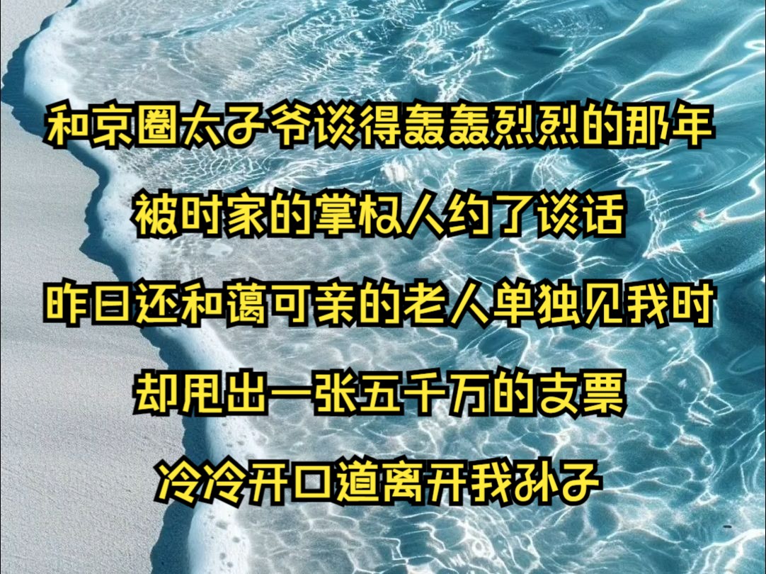 沐野谋爱和京圈太子爷谈得轰轰烈烈的那年,被时家的掌权人约了谈话,昨日还和蔼可亲的老人单独见我时,甩出一张五千万的支票,冷冷开口道离开我孙...