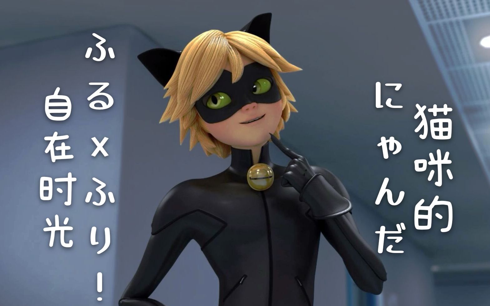 【miraculous | chat noir】猫咪的自在时光
