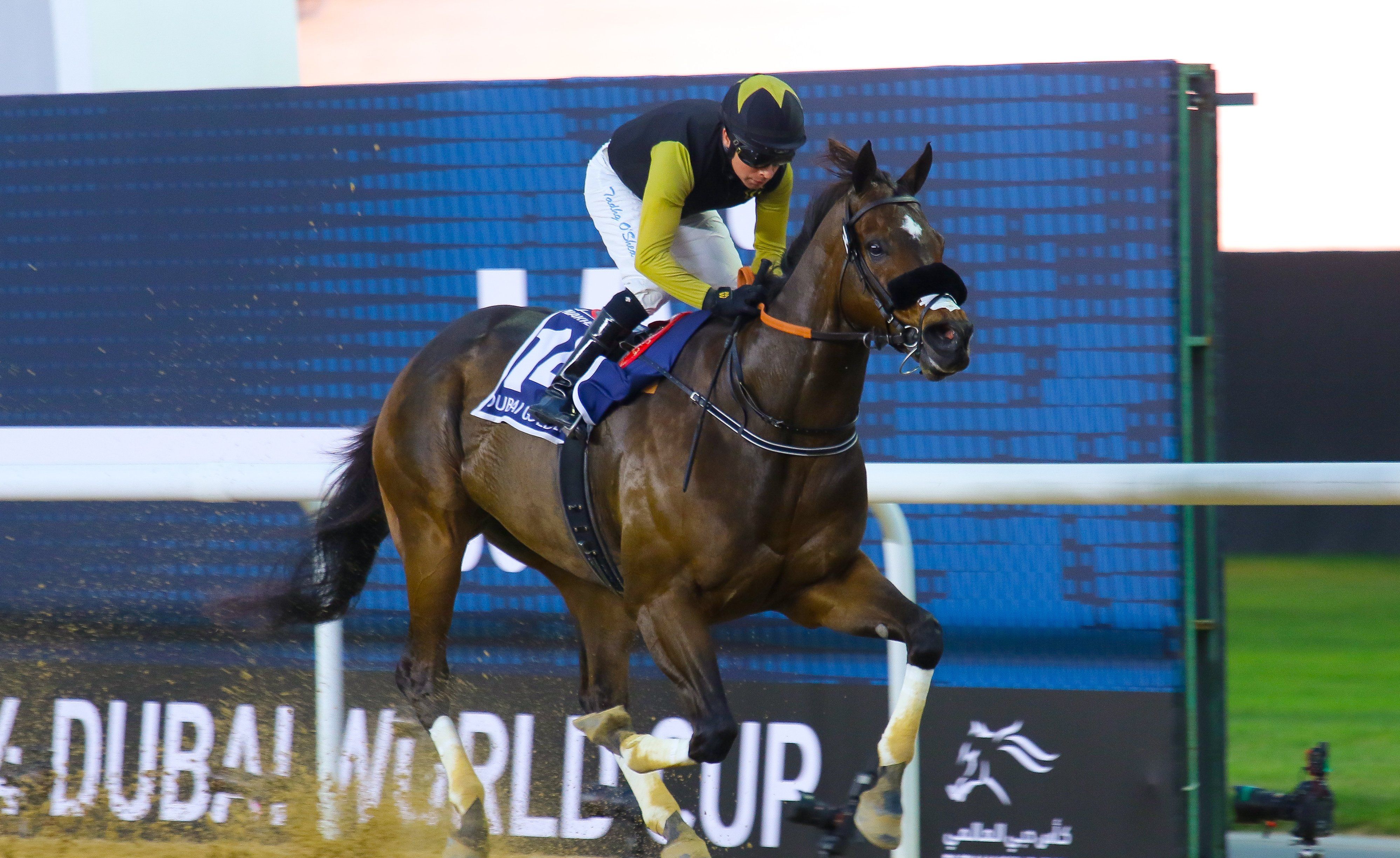 【粤语字幕】2024年 杜拜金莎轩锦标 天空之镜/tuz