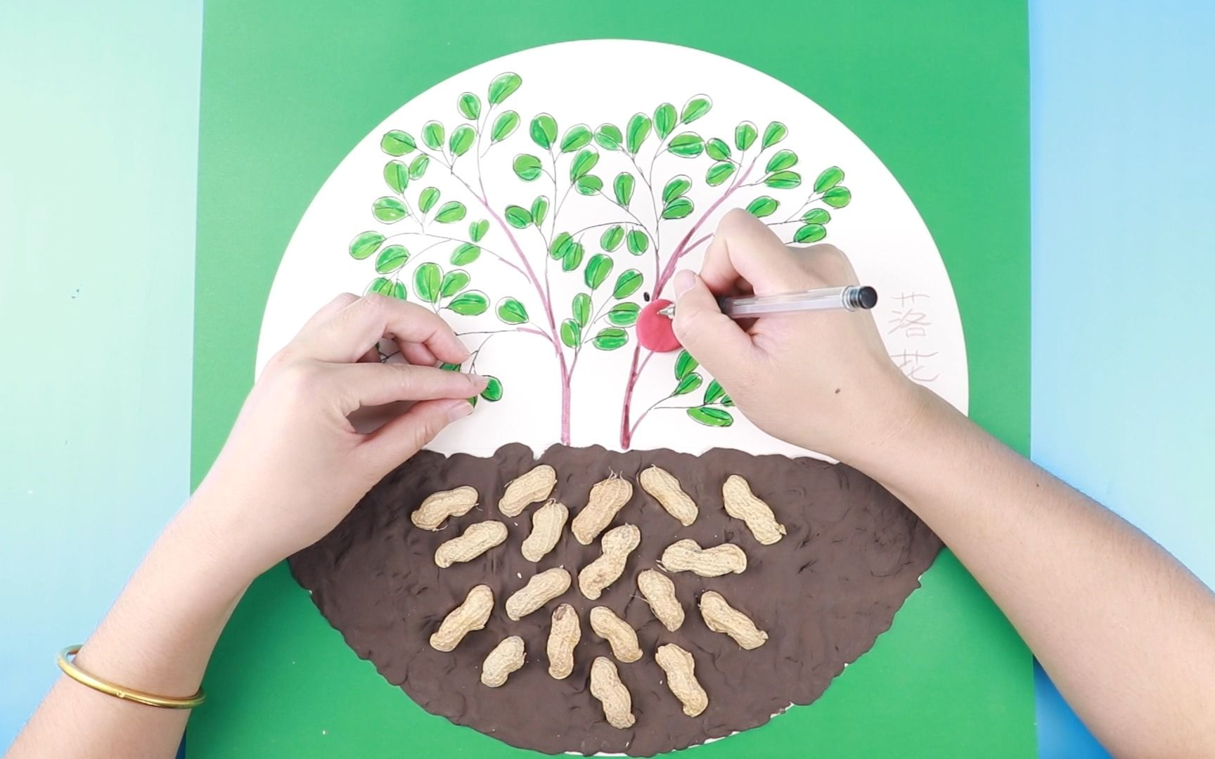 嘟拉手工绘画 花生的秘密