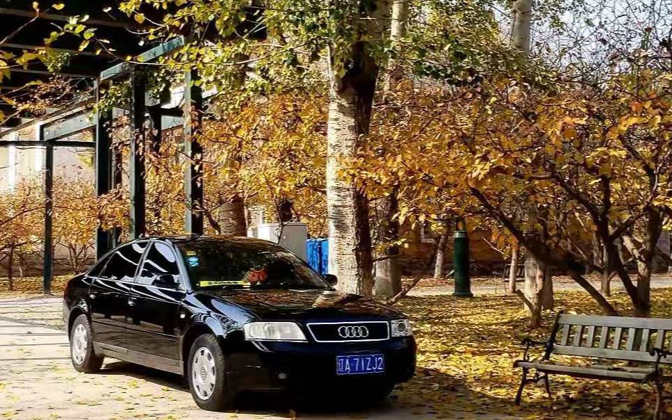 Audi C5 情怀天下车友群部分车辆哔哩哔哩bilibili