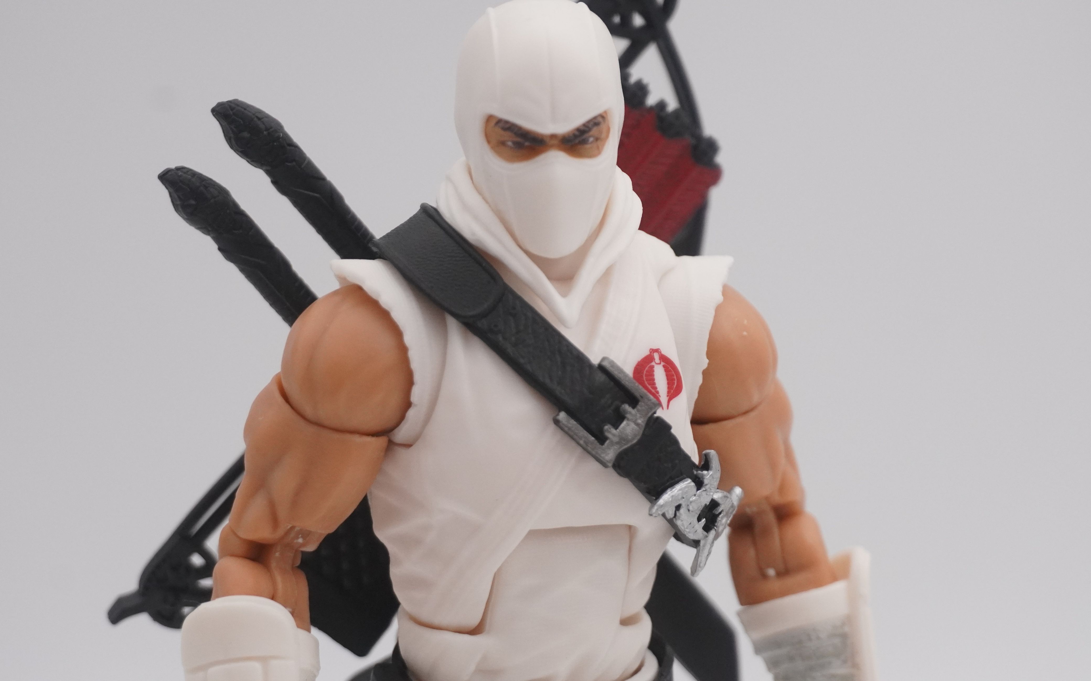 joe classified 白幽灵 storm shadow