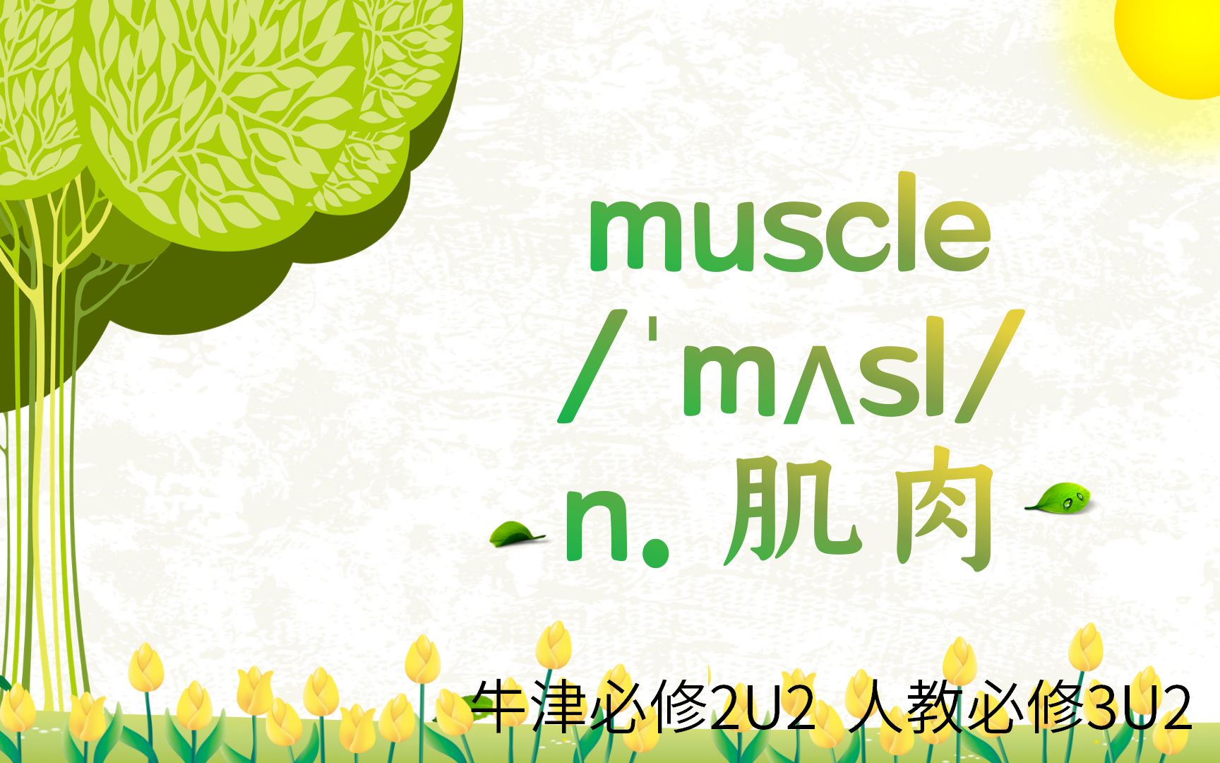 高中单词讲解:muscle 牛津必修2U2 人教必修3U2哔哩哔哩bilibili