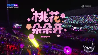 【时代少年团】《桃花朵朵开》250503海口演唱会