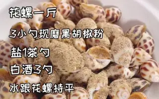 胡椒花螺 哔哩哔哩 Bilibili