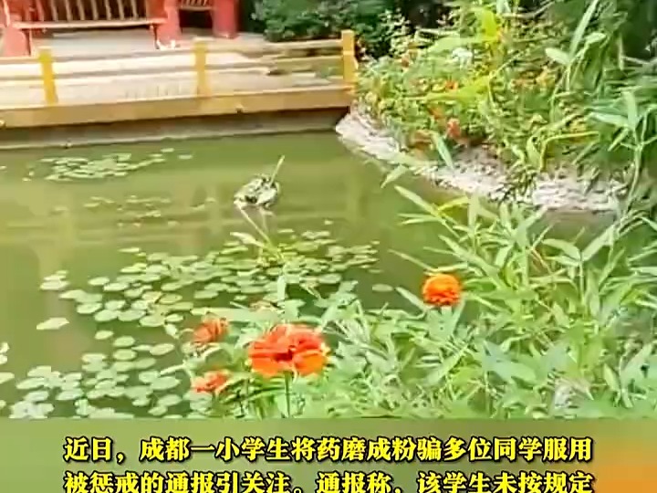 小学生将药磨成粉骗同学服用,接受调查时拒不承认还言语威胁同学哔哩哔哩bilibili