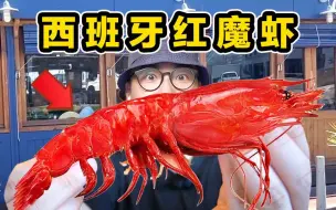 Download Video: 探秘西班牙红魔虾！什么味道？到底好不好吃？