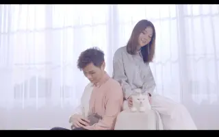 猫先生 搜索结果 哔哩哔哩 Bilibili